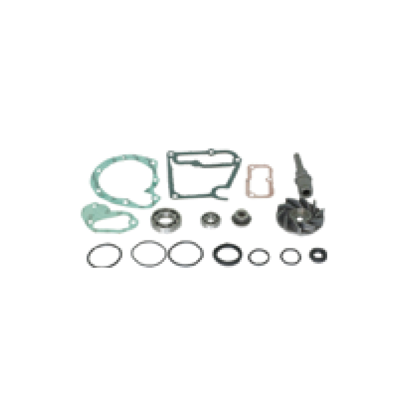 Water Pump REPAIR KIT FOR 3522004104 5422004504 for Mercedes-benz 