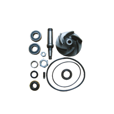 Water Pump REPAIR KIT FOR 550206 551476 for SCANIA