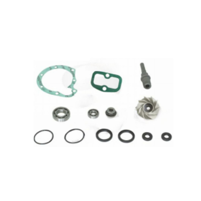 Water Pump REPAIR KIT FOR 3142001004 3142000704 for Mercedes-benz 